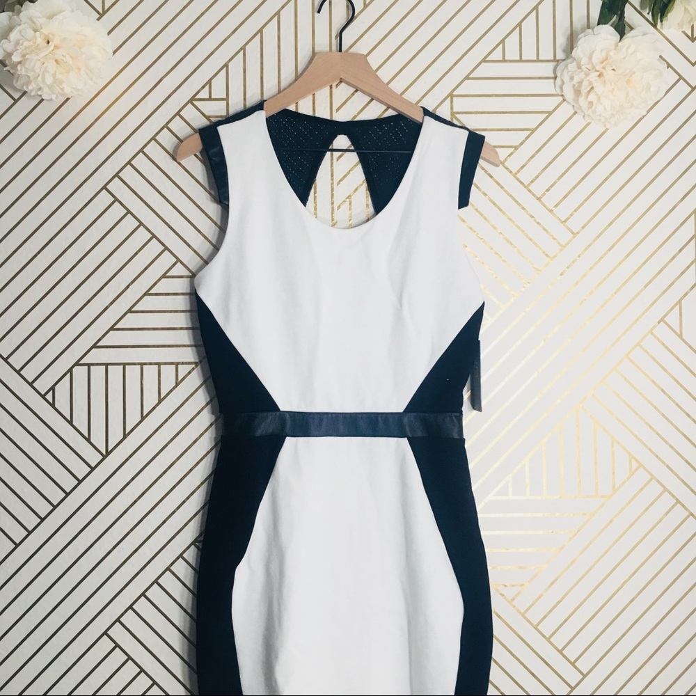 La Pina | NWT Color Block Dress w/ Leather Detail